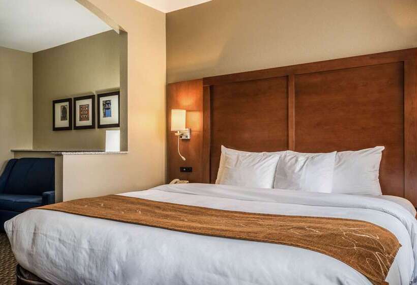 호텔 Comfort Suites Near Texas State University