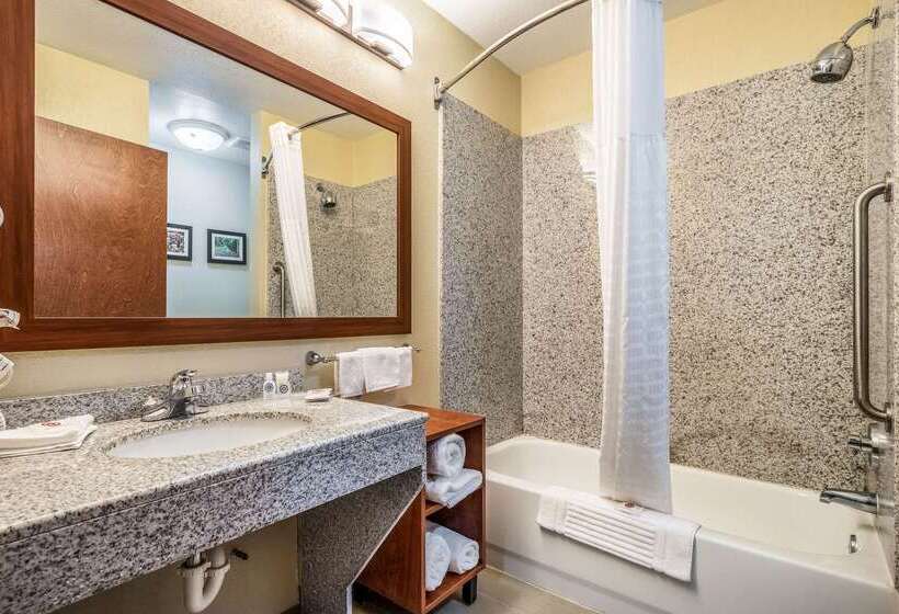 호텔 Comfort Suites Near Texas State University