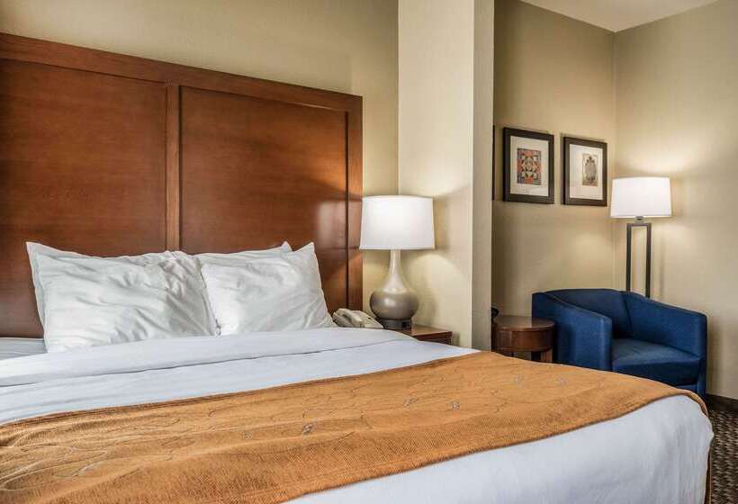 호텔 Comfort Suites Near Texas State University