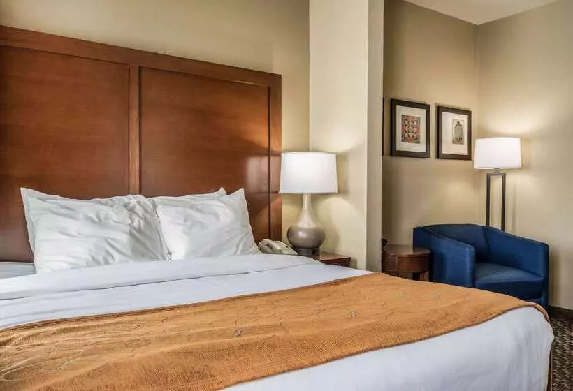 호텔 Comfort Suites Near Texas State University