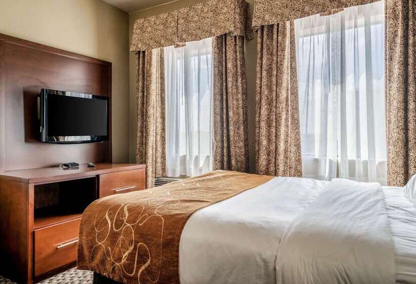 호텔 Comfort Suites Near Texas State University