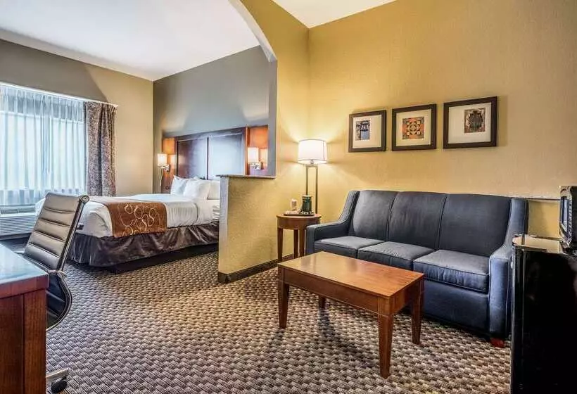 호텔 Comfort Suites Near Texas State University