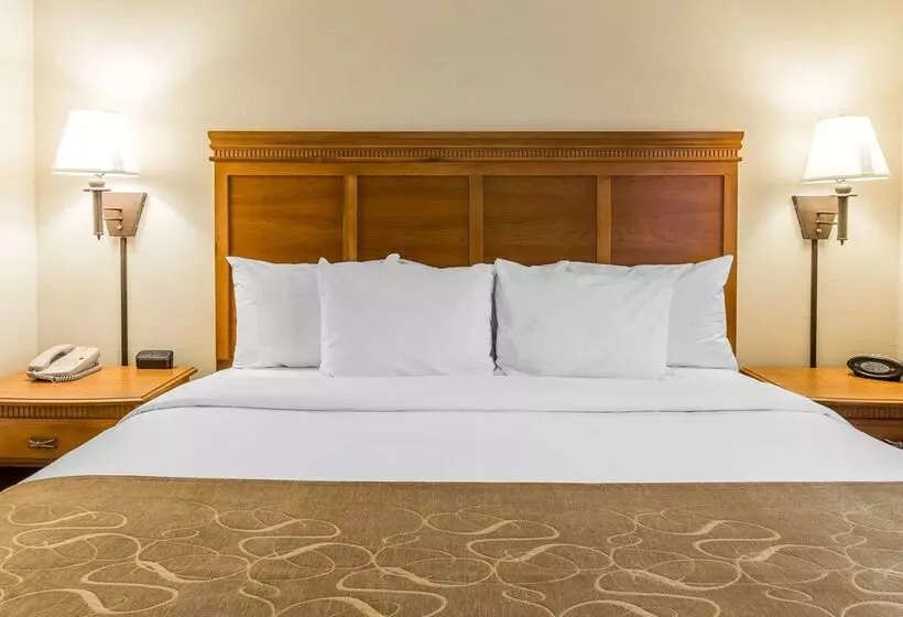 호텔 Comfort Suites