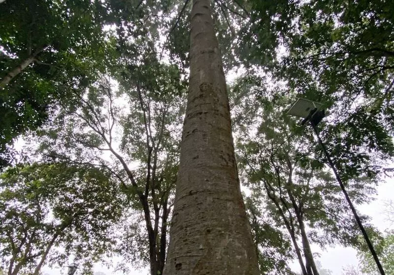 호텔 Comsaed River Kwai Resort