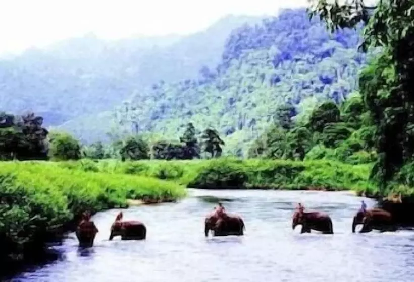 호텔 Comsaed River Kwai Resort