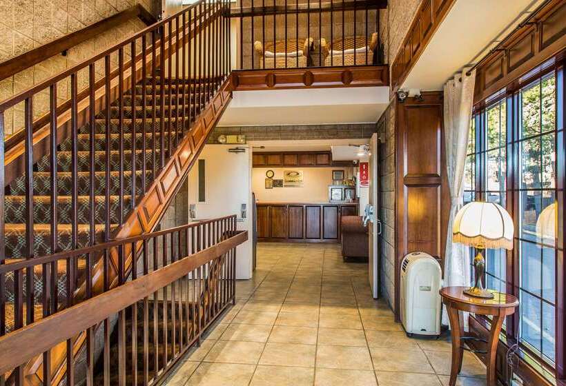 酒店 Econo Lodge Milldale  Southington