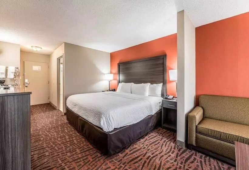 酒店 Lake Norman Inn And Suites