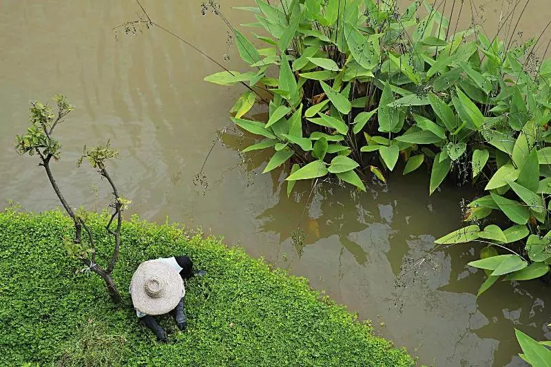 فندق Le Meridien Chiang Rai Resort, Thailand