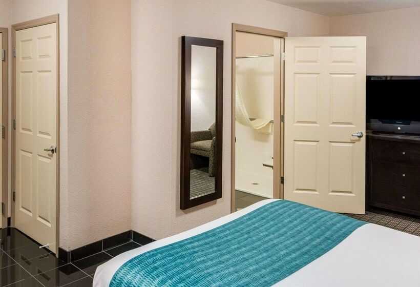 فندق Suburban Studios Avondale