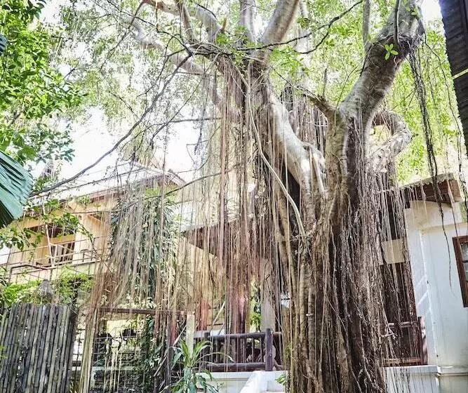 Natural Wing Health Spa & Resort