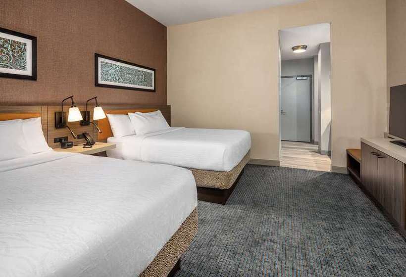 فندق Hilton Garden Inn Chicago Central Loop