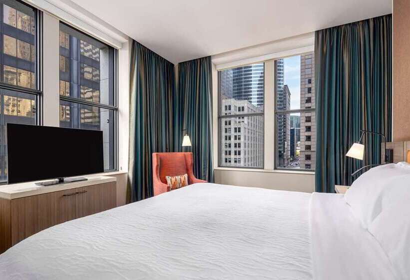 فندق Hilton Garden Inn Chicago Central Loop