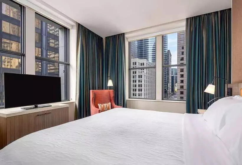 هتل Hilton Garden Inn Chicago Central Loop