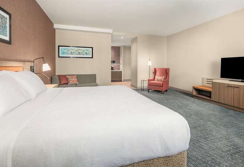 فندق Hilton Garden Inn Chicago Central Loop