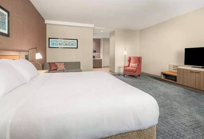 هتل Hilton Garden Inn Chicago Central Loop