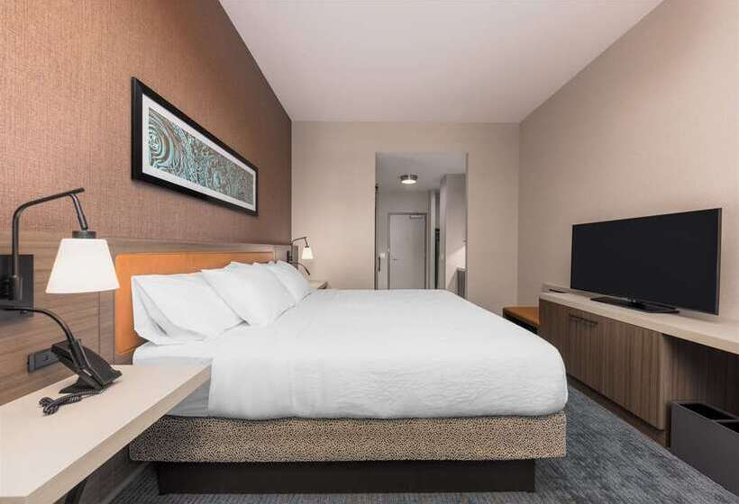 فندق Hilton Garden Inn Chicago Central Loop