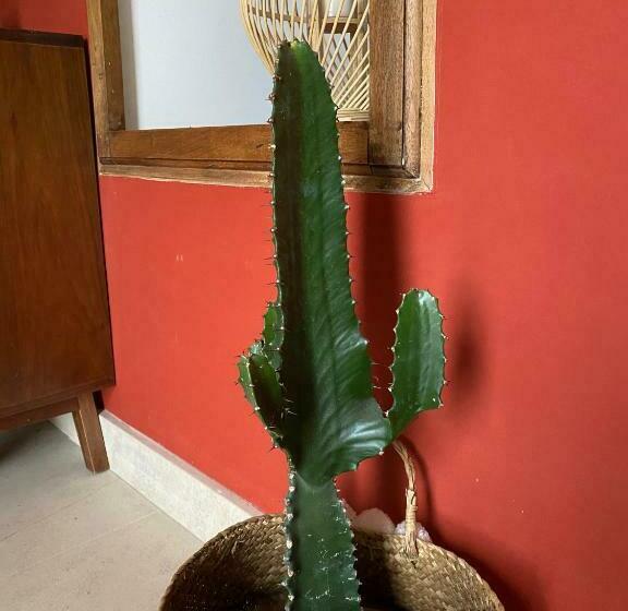 פנסיון Le Jardin Du Moustoulac