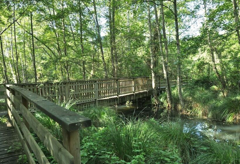 פנסיון Les Pigeonnes