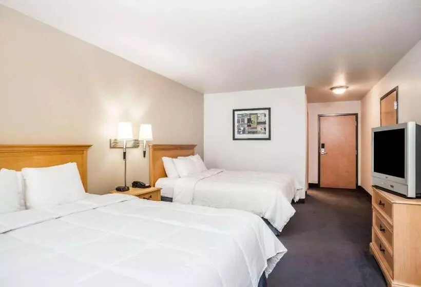 酒店 Baymont By Wyndham Indianapolis Northeast