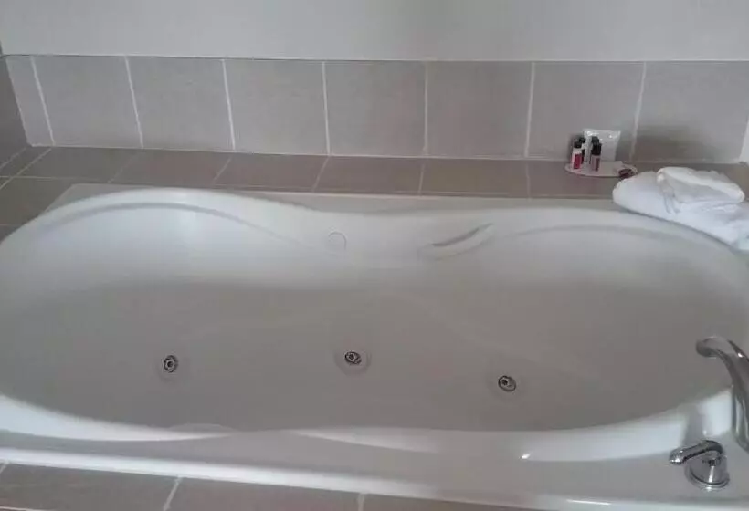 酒店 Baymont By Wyndham Indianapolis Northeast