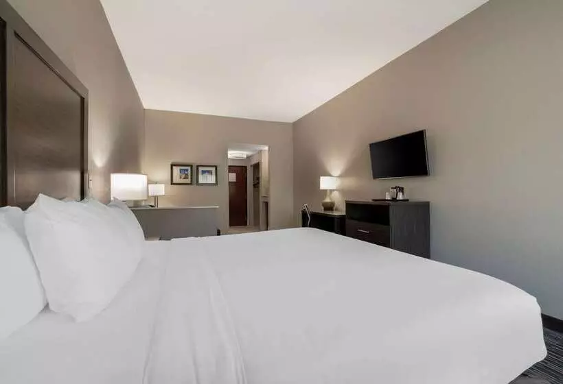 ホテル Comfort Inn & Suites Near Medical Center
