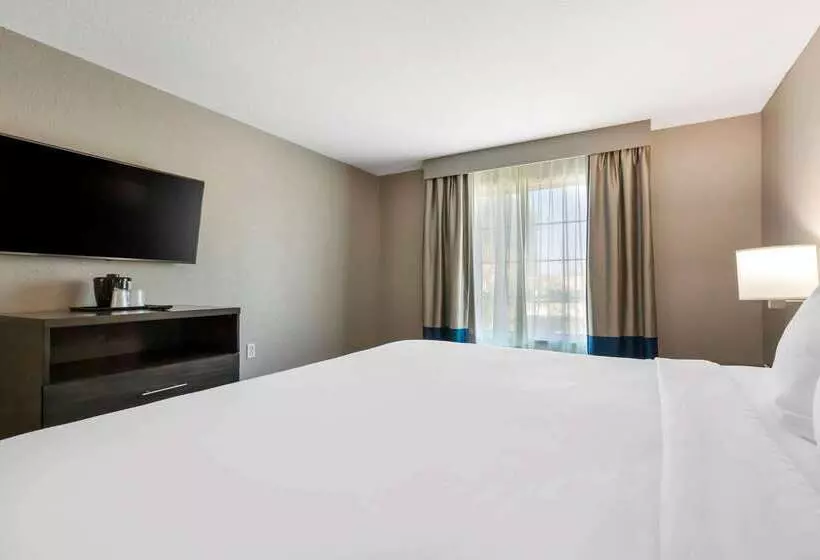 ホテル Comfort Inn & Suites Near Medical Center