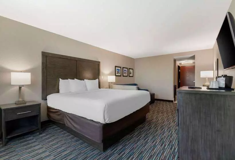 ホテル Comfort Inn & Suites Near Medical Center
