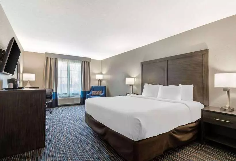 ホテル Comfort Inn & Suites Near Medical Center
