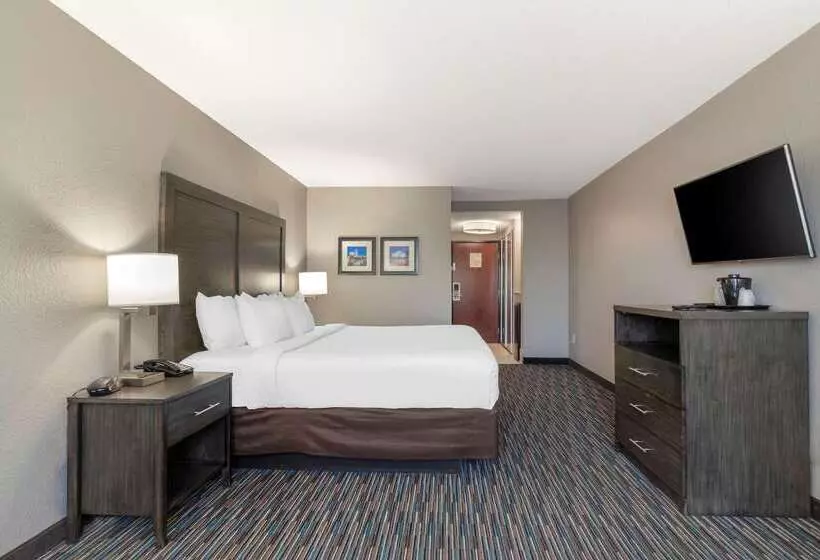 ホテル Comfort Inn & Suites Near Medical Center