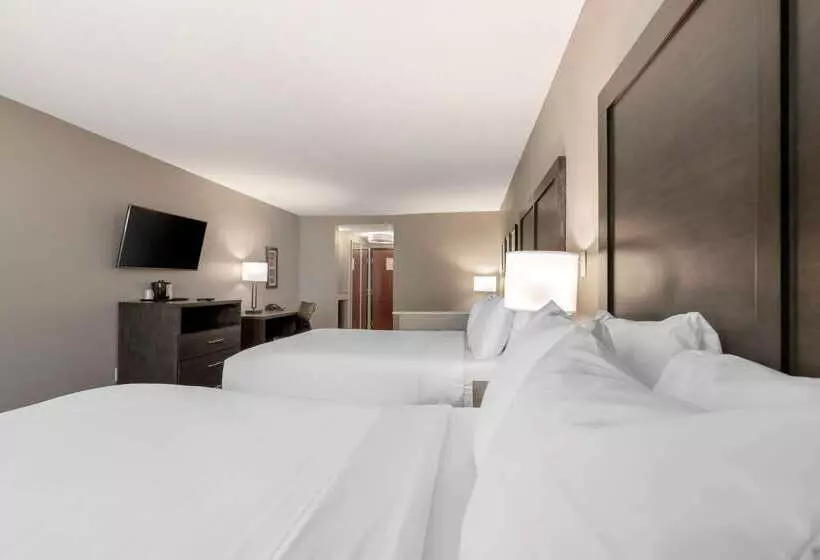 ホテル Comfort Inn & Suites Near Medical Center
