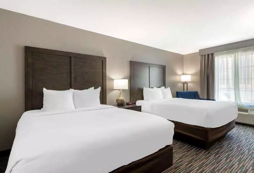 ホテル Comfort Inn & Suites Near Medical Center