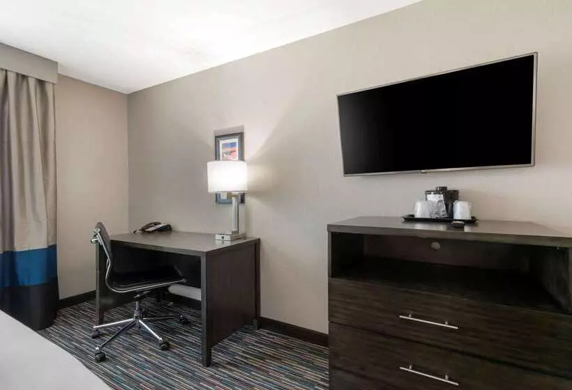 ホテル Comfort Inn & Suites Near Medical Center
