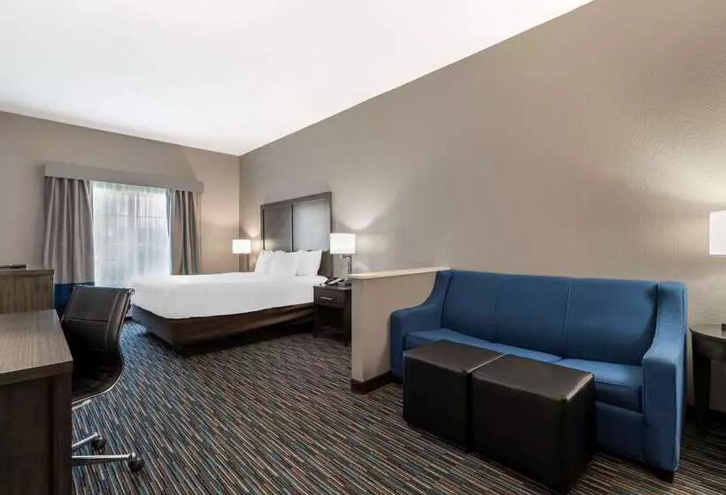 ホテル Comfort Inn & Suites Near Medical Center