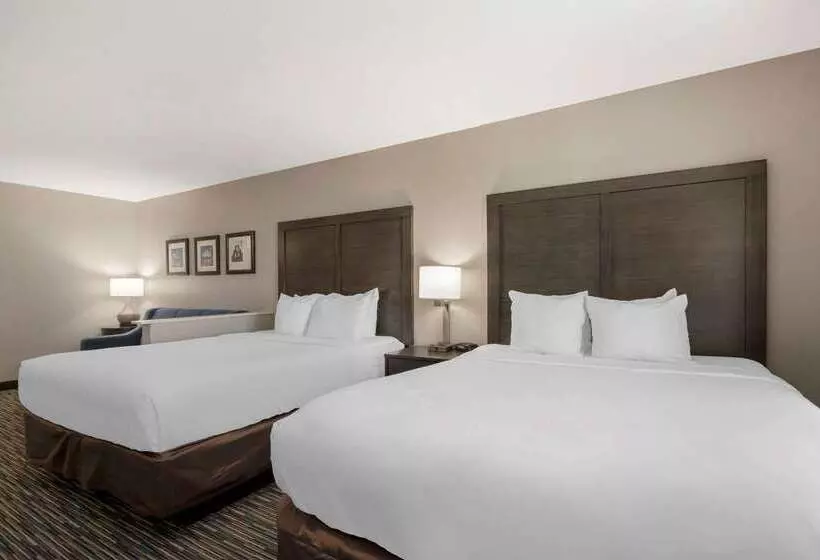 ホテル Comfort Inn & Suites Near Medical Center