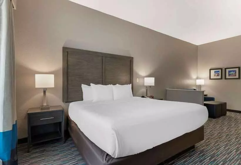 ホテル Comfort Inn & Suites Near Medical Center