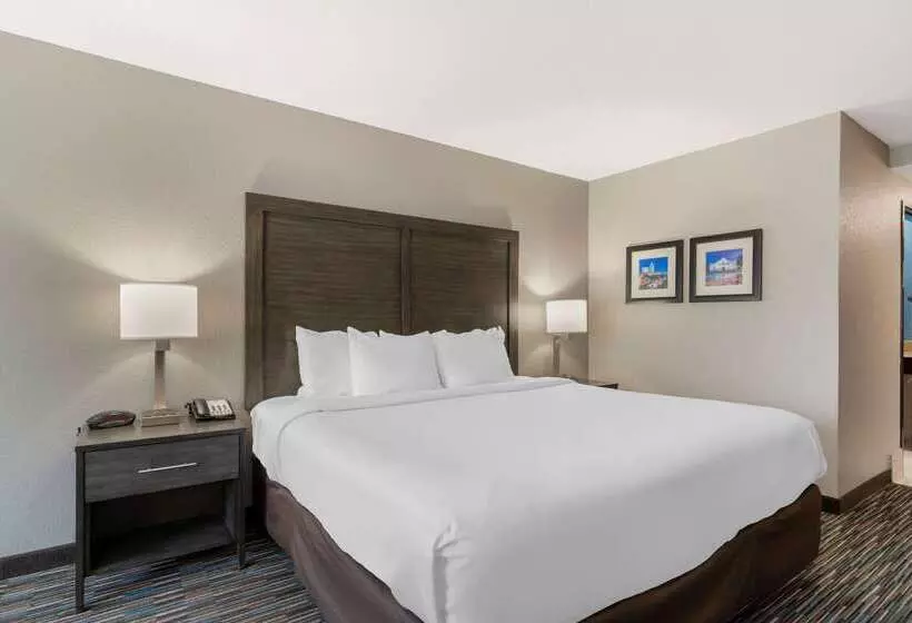 ホテル Comfort Inn & Suites Near Medical Center