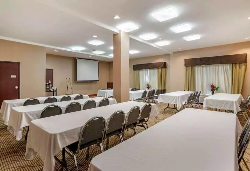 ホテル Comfort Suites Airport South