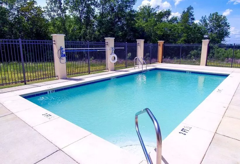 ホテル Comfort Suites Airport South