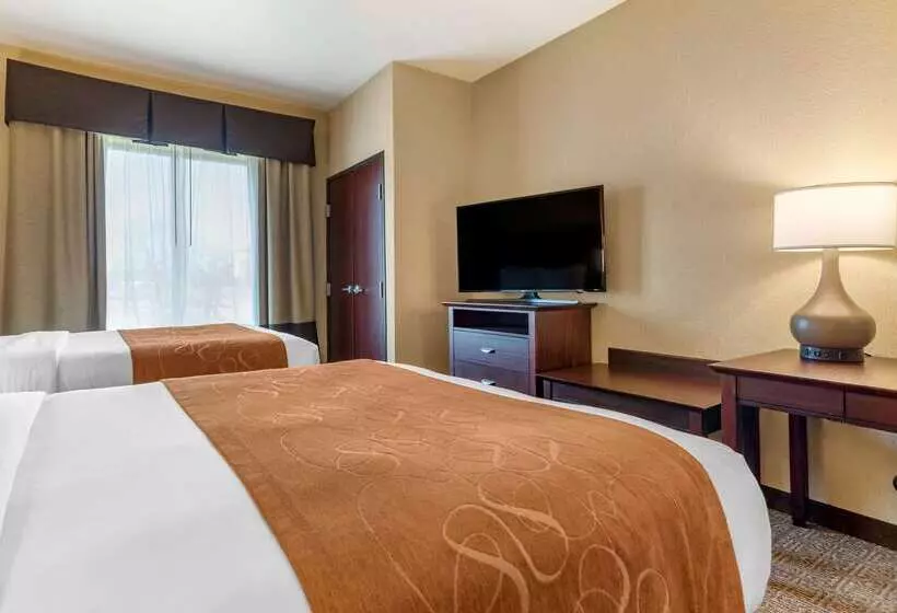 ホテル Comfort Suites Airport South