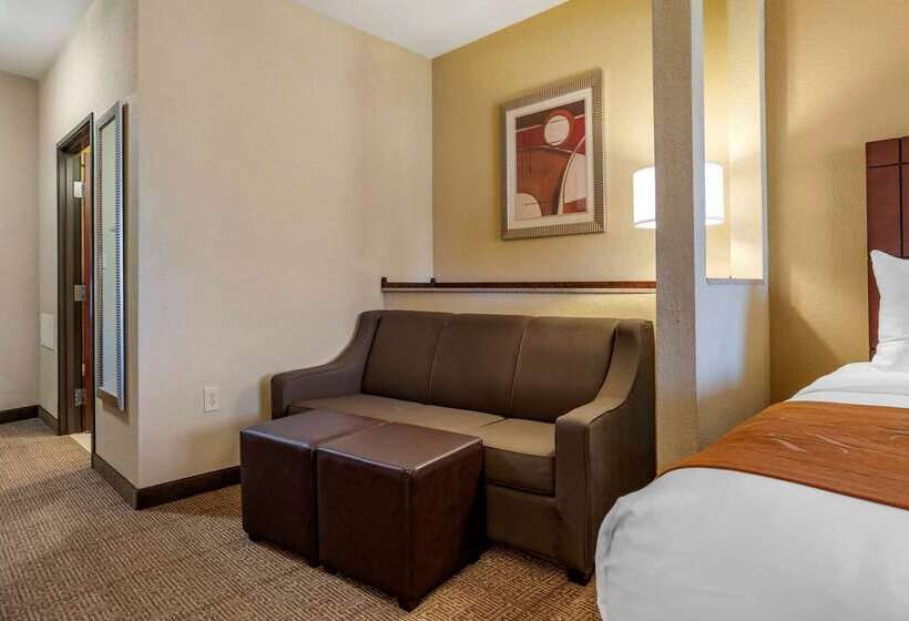 호텔 Comfort Suites Airport South