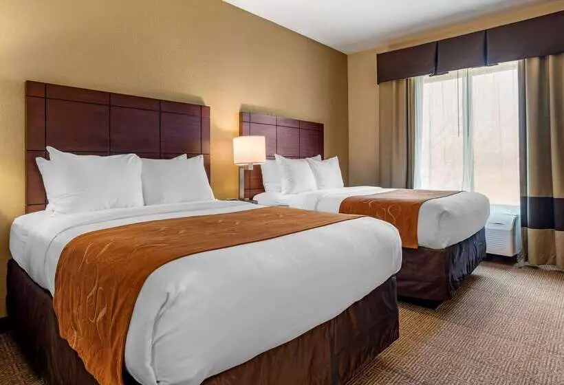 ホテル Comfort Suites Airport South