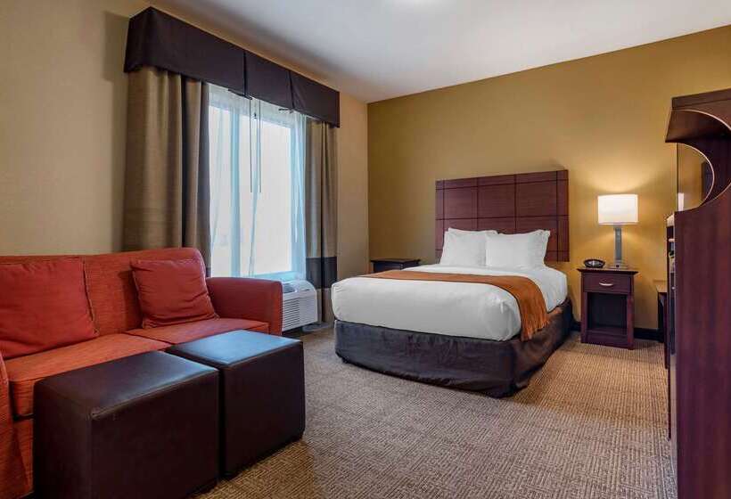 호텔 Comfort Suites Airport South