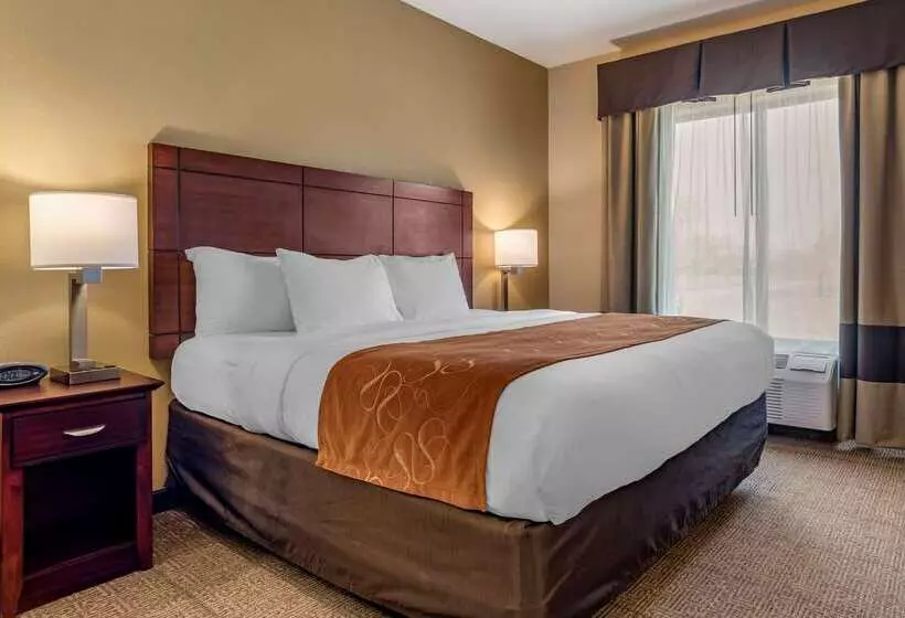 ホテル Comfort Suites Airport South