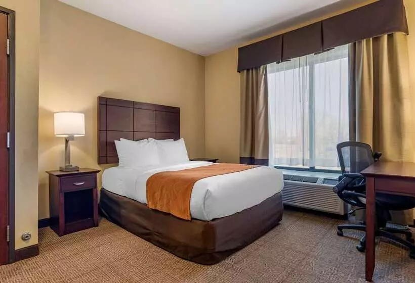 ホテル Comfort Suites Airport South