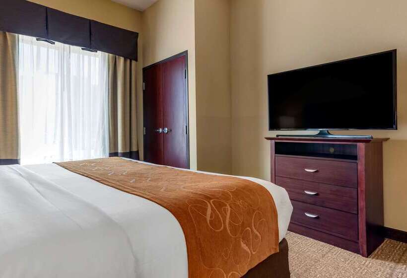 호텔 Comfort Suites Airport South