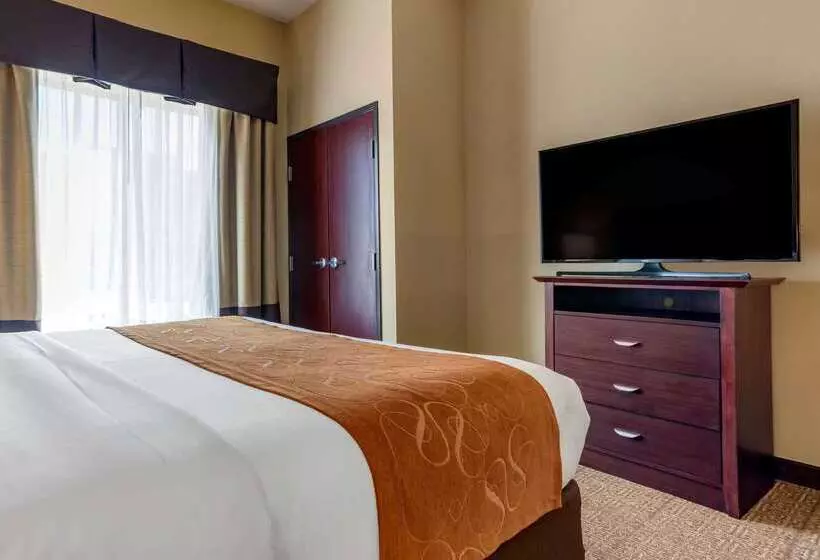 ホテル Comfort Suites Airport South