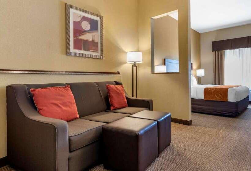 호텔 Comfort Suites Airport South