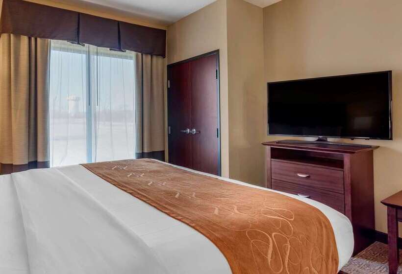 호텔 Comfort Suites Airport South