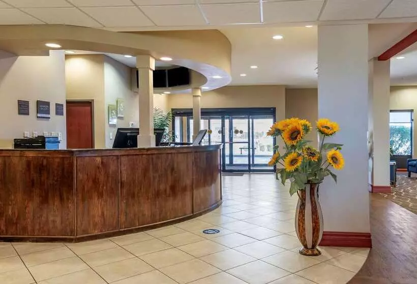 ホテル Comfort Suites Airport South