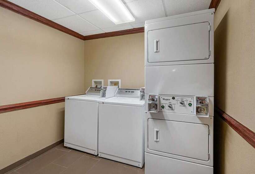 Отель Comfort Suites Central